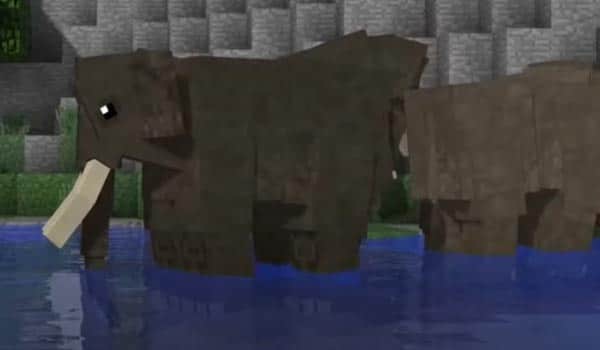 Elephants Zawa Mod minecraft