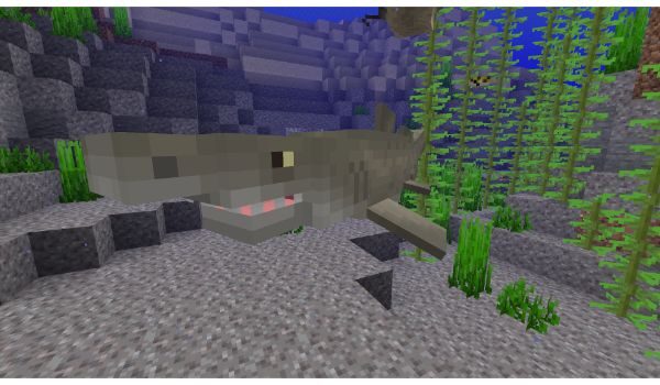 All-Bodies-Of-Water-mod-for-minecraft-1-16-5-shark