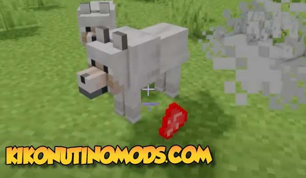 Wolf with meat next to the mod