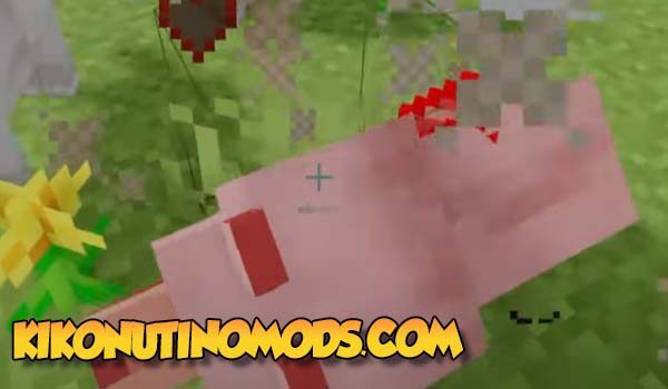wolf dropping meat in minecraft 1.18.1