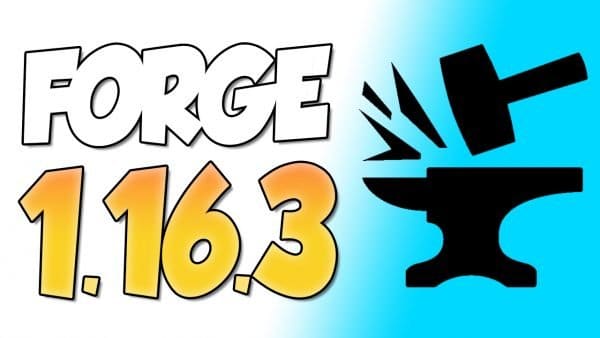 Forge 1.16.3