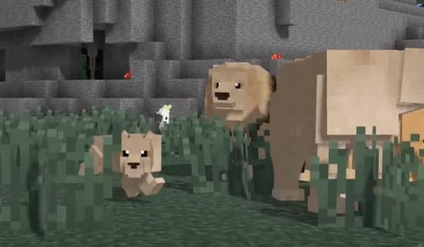 Zawa Minecraft Mod Leones