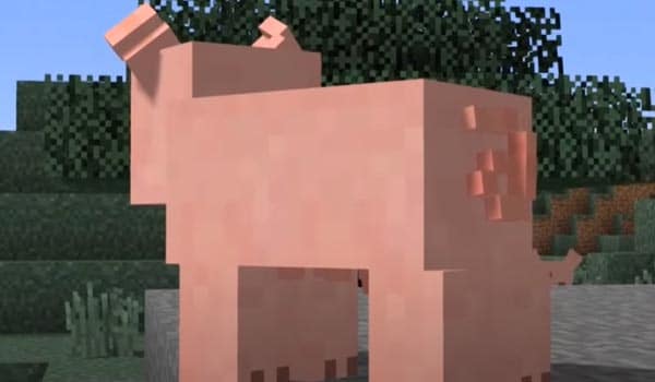 Cerdo Animania Mod Minecraft