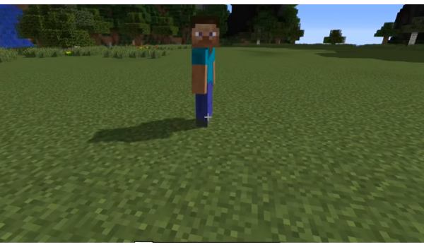 Player Skin Mob Steve