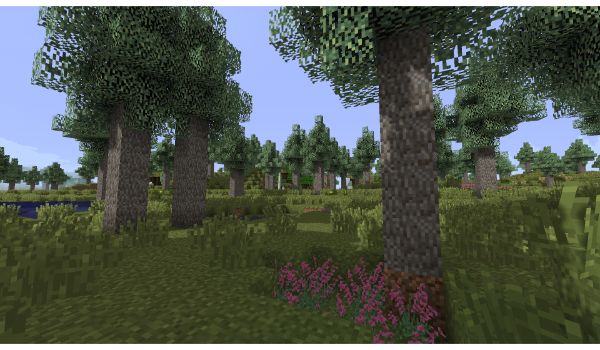 OverMod-minecraft-1-12-2-bioma-de-bosque-seco