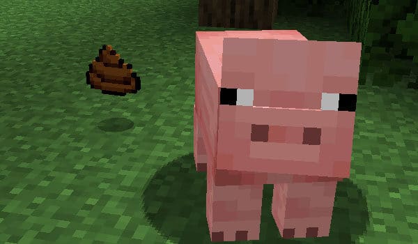Pig Poop Mod para Minecraft 1.17