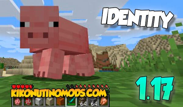 Identity Mod para Minecraft 1.17