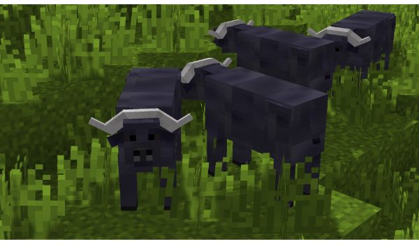 Wild-Lands-2-mod-minecraft-1-12-2-bison