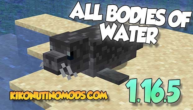 All-Bodies-Of-Water-mod-para-minecraft-1-16-5-descargar-gratis-en-español