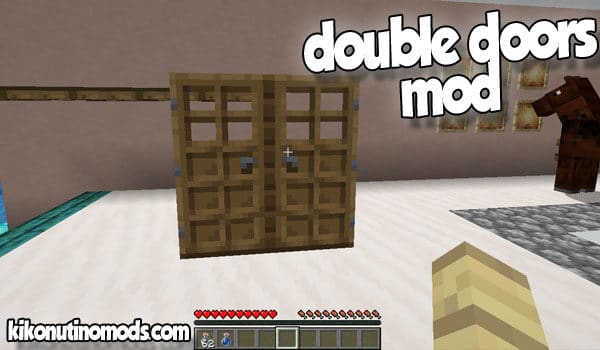 Doppeltüren MOD3