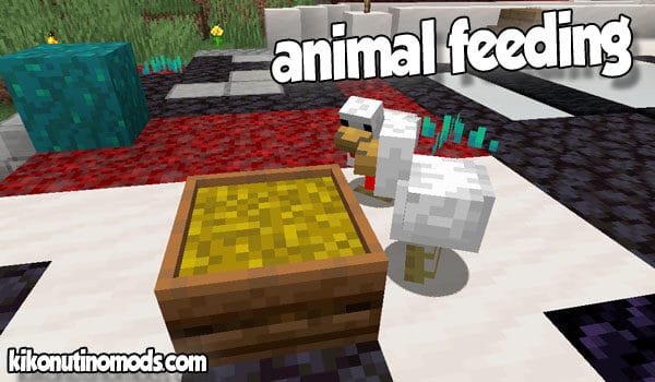 animal feeding mod3