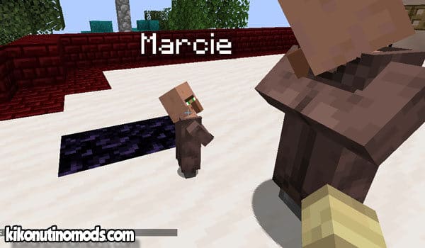 villager names mod