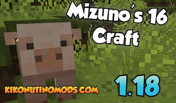 Mizuno's 16 Craft 0