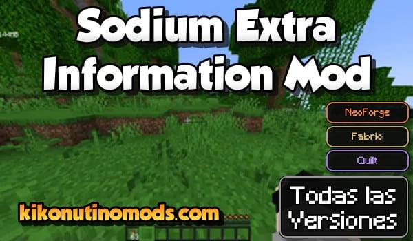 Sodium Extra Information Mod